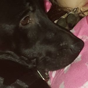 Meet your Posher, Deborah